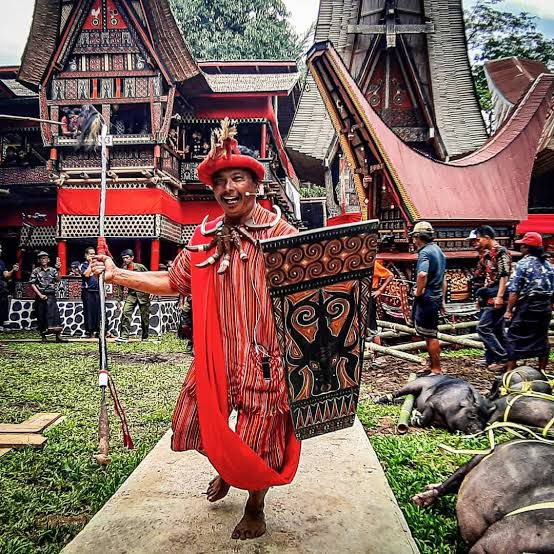 Wisata Sulawesi
