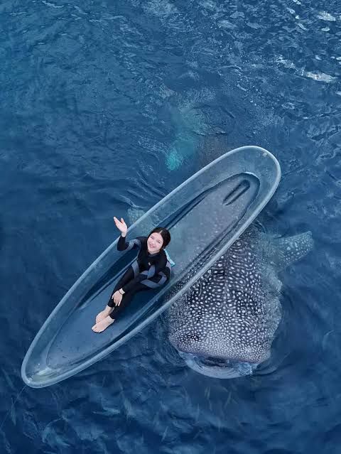 TOUR SOUTH SULAWESI 5 DAYS 4 NIGHTS